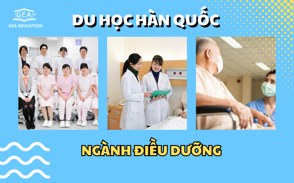 du hoc nganh dieu duong han quoc