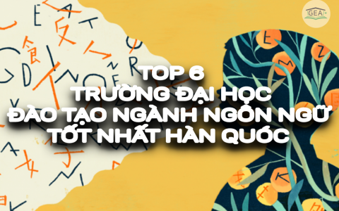 TOP 6 TRƯỜNG ĐẠI HỌC ĐÀO TẠO NGÀNH NGÔN NGỮ TỐT NHẤT HÀN QUỐC NĂM 2024